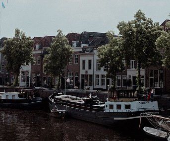 Spotten-dashboard met real-time parkeerbezetting